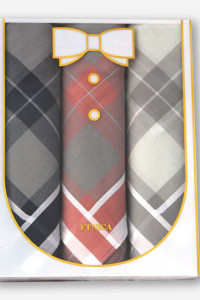 Мужские носовые платки "Etnica Collection" Пд13л диз.625-354 в подарочной коробке - 3 шт. яркая шотландская клетка