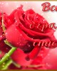 {widget.tst.NAME}, {widget.tst.CITY}