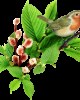 {widget.tst.NAME}, {widget.tst.CITY}