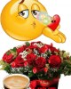 {widget.tst.NAME}, {widget.tst.CITY}