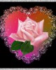 {widget.tst.NAME}, {widget.tst.CITY}