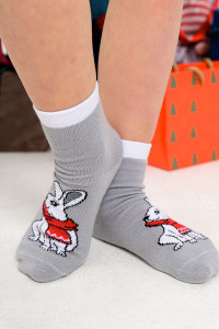 Носки детские "Тим" серый - упаковка 1 пара (последний размер) 18-20