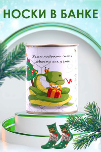 Носки мужские GL1703 "Змей" - 1 пара в банке (последний размер) 41-46