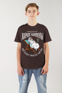 Футболка детская "Карнавал-2" кулирка (р-ры: 140-170) шоколадный