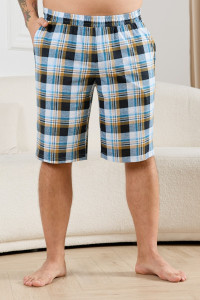 Шорты мужские "Тор-2" кулирка (р-ры: 48-62) клетка бирюза