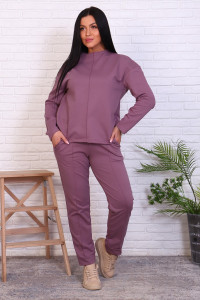Костюм двойка женский №17571 футер с лайкрой 2-х нитка (р-ры: 46-54) черничный