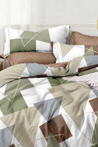 Постельное белье поплин стандарт ПВ20-1366 (последний размер) 2-сп.евр