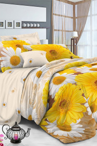 Постельное белье поплин "Антемиса" (последний размер) 1.5-сп.