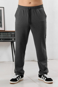 Брюки мужские "Акс" футер 2-х нитка с лайкрой (р-ры: 48-58) графитовый