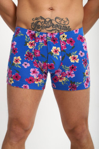 Трусы мужские №74400 кулирка пенье (р-ры: 48-54) василек