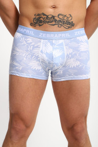 Трусы мужские №45072 вискоза (р-ры: 48-56)