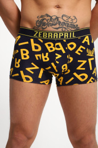 Трусы мужские №45070 вискоза (р-ры: 48-54)