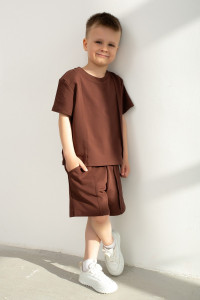 Костюм двойка детский "Стрела" петельчатый футер (р-ры: 104-146) коричневый