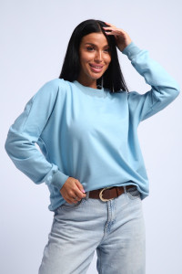 Свитшот женский №290 футер с лайкрой 2-х нитка (р-ры: 44-54) голубой