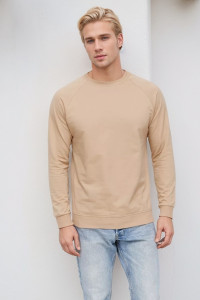 Свитшот мужской №14430 футер 2-х нитка (последний размер) бежевый 58