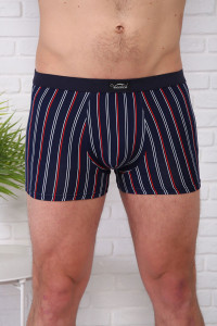 Трусы мужские №64951 бамбук (р-ры: 50-56) - упаковка 2 шт.