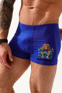 Трусы мужские "Диванный критик" кулирка с лайкрой пенье (последний размер) васильковый 52