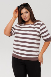 Толстовка женская ТЖ40 футер 2-х нитка пенье (р-ры: 46-60) мокко