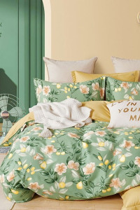 Постельное белье твил-сатин на резинке Elegans Т22-364 (последний размер) 2-сп.евр.