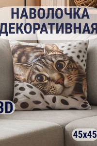 Наволочка-чехол декоративная велюр 3D на молнии "Кот-горох"
