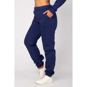 Брюки женские ФБ-8 "Рокси" футер 3-х нитка с начёсом (последний размер) парламент 46 Брюки женские ФБ-8 "Рокси" футер 3-х нитка с начёсом (последний размер) парламент 46