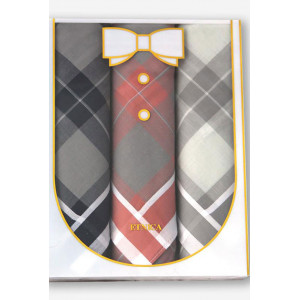 Мужские носовые платки "Etnica Collection" Пд13л диз.625-354 в подарочной коробке - 3 шт. яркая шотландская клетка