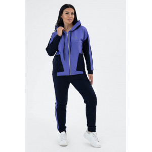 Костюм двойка женский К3093 футер 2-х нитка (последний размер) 50 Костюм двойка женский К3093 футер 2-х нитка (последний размер) 50