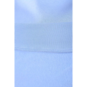 Костюм двойка женский 399 "XXI" футер 3-х нитка с начесом (последний размер) голубой 50