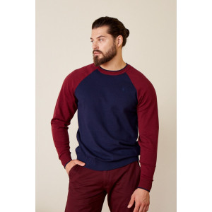 Джемпер мужской AW22MK285 вязаный трикотаж (последний размер) темно-синий+бургунди 56