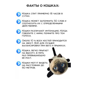 Подушка-антистресс "Кот Барсик"