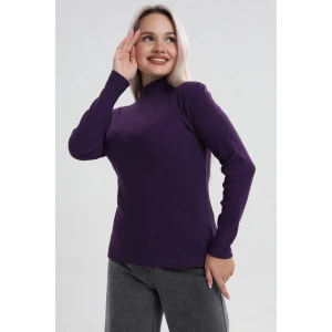 Водолазка женская ВЖ0059 кашкорсе (р-ры: XS-6XL) темно-фиолетовый Водолазка женская ВЖ0059 кашкорсе (р-ры: XS-6XL) темно-фиолетовый