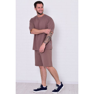 Костюм двойка мужской 9228а кулирка с лайкрой (р-ры: 46-60) капучино