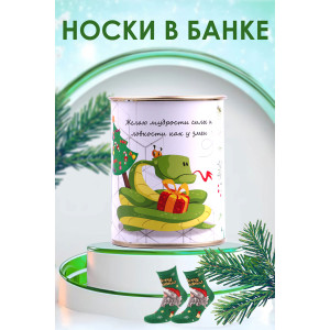 Носки мужские GL1703 "Змей" - 1 пара в банке (последний размер) 41-46