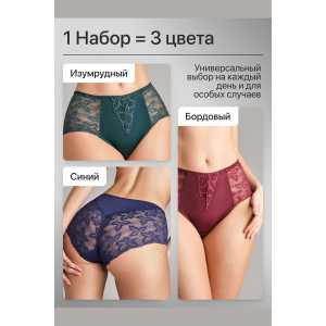 Трусы женские 0209 OIRO нейлон (р-ры: 46-60) зеленый, синий, бордо - упаковка 3 шт. 