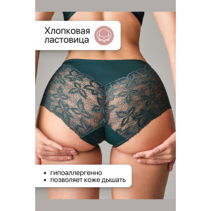 Трусы женские 0209 OIRO нейлон (р-ры: 46-60) зеленый, синий, бордо - упаковка 3 шт. 