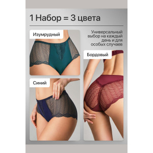 Трусы женские 0208 OIRO нейлон (р-ры: 46-60) зеленый, синий, бордо - упаковка 3 шт. 