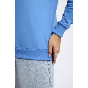 Толстовка женская №80048 футер 2-х нитка (р-ры: 44-62) голубой Толстовка женская №80048 футер 2-х нитка (р-ры: 44-62) голубой