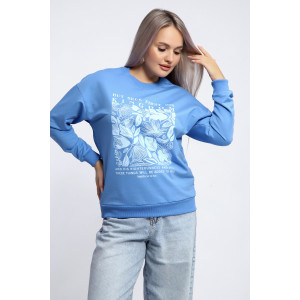 Толстовка женская №80047 футер 2-х нитка (р-ры: 44-62) голубой Толстовка женская №80047 футер 2-х нитка (р-ры: 44-62) голубой