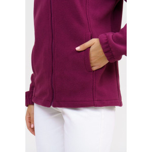 Толстовка женская 958 флис пенье антипилинг (последний размер) бордо 58 Толстовка женская 958 флис пенье антипилинг (последний размер) бордо 58