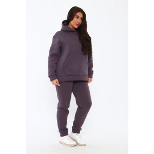 Костюм двойка женский КД-00447 футер 3-х нитка (последний размер) лиловый 58 Костюм двойка женский КД-00447 футер 3-х нитка (последний размер) лиловый 58