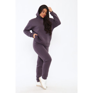 Костюм двойка женский КД-00447 футер 3-х нитка (последний размер) лиловый 58 Костюм двойка женский КД-00447 футер 3-х нитка (последний размер) лиловый 58