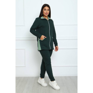 Костюм двойка женский КД-445 футер 2-х нитка с лайкрой (последний размер) салатовый-зеленый 52 Костюм двойка женский КД-445 футер 2-х нитка с лайкрой (последний размер) салатовый-зеленый 52