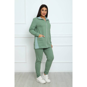 Костюм двойка женский КД-445 футер 2-х нитка с лайкрой (последний размер) фисташковый 52,58 Костюм двойка женский КД-445 футер 2-х нитка с лайкрой (последний размер) фисташковый 52,58