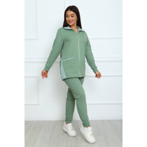 Костюм двойка женский КД-445 футер 2-х нитка с лайкрой (последний размер) фисташковый 52,58 Костюм двойка женский КД-445 футер 2-х нитка с лайкрой (последний размер) фисташковый 52,58