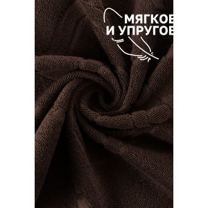 Набор из 2-х полотенец махровых для ног "Софатекс" 056319 молочный шоколад