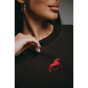 Свитшот женский "Символ" футер 2-х нитка пенье фирча (р-ры: 46-60) шоколад Свитшот женский "Символ" футер 2-х нитка пенье фирча (р-ры: 46-60) шоколад