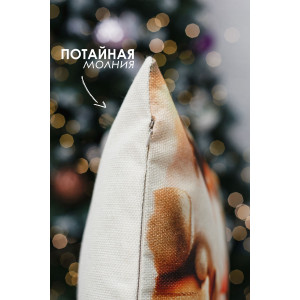 Наволочка-чехол декоративная на молнии "Гном в золоте" 2 шт.