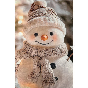 Наволочка-чехол декоративная с 3D-эффектом на молнии "Снеговик и Гном" 2 шт.