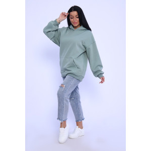 Толстовка женская №71085 интерсофт начес (последний размер) фисташковый 42 Толстовка женская №71085 интерсофт начес (последний размер) фисташковый 42