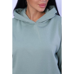 Толстовка женская №71085 интерсофт начес (последний размер) фисташковый 42 Толстовка женская №71085 интерсофт начес (последний размер) фисташковый 42